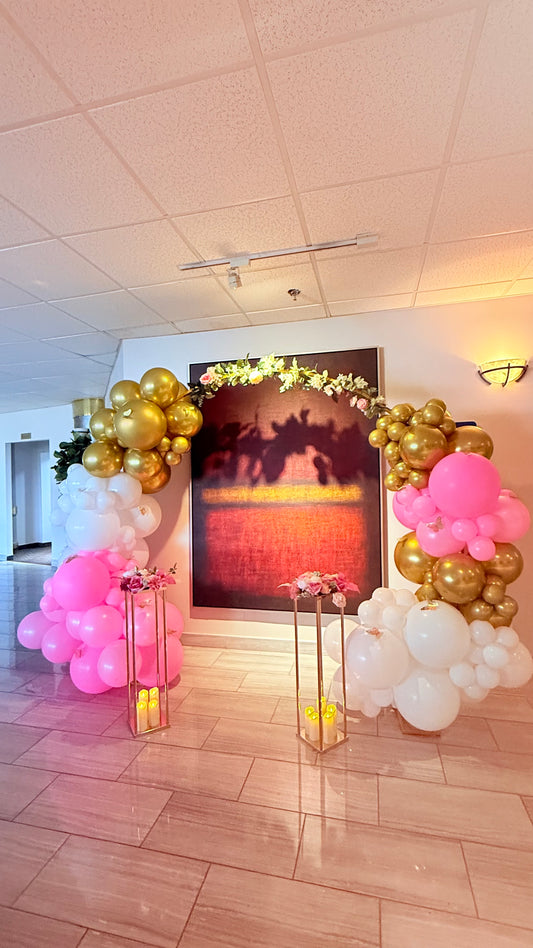 Circular Backdrop, 6.6ft